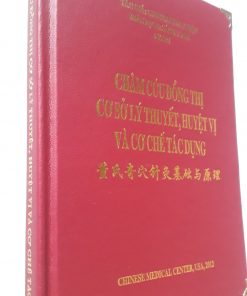 Châm Cứu Đổng Thị Cơ Sở Lý Thuyết, Huyệt Vị Và Cơ Chế Tác Dụng