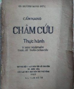 Cẩm Nang Châm Cứu Thực Hành Y Học Nhập Môn Thái Ất Thần Châm Cứu