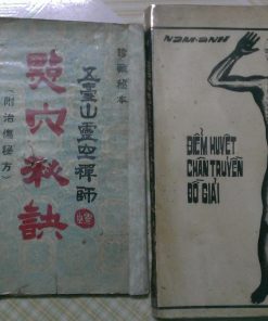Điểm Huyệt Chân Truyền Đồ Giải