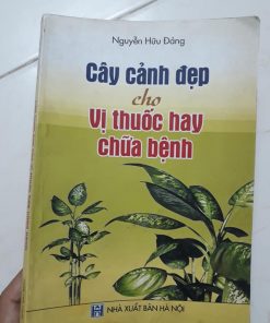 Cây Cảnh Đẹp Cho Vị Thuốc Hay Chữa Bệnh