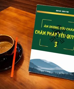 Âm Dương Cửu Châm Châm Pháp Yếu Quyết