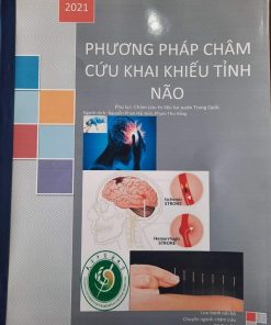 Châm Cứu Khai Khiếu Tỉnh Não (Thạch Học Mẫn)